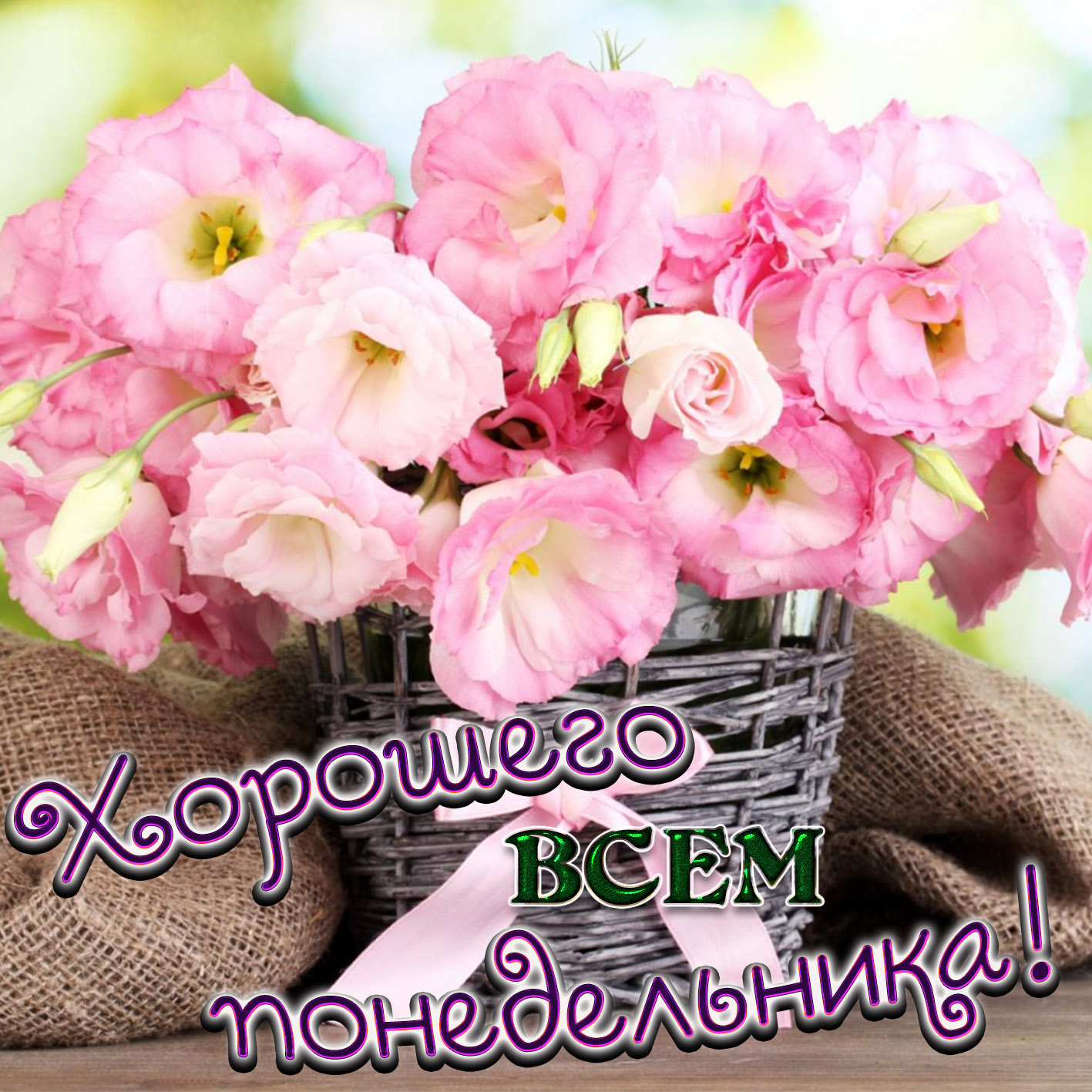 ponedelnik0022.jpg